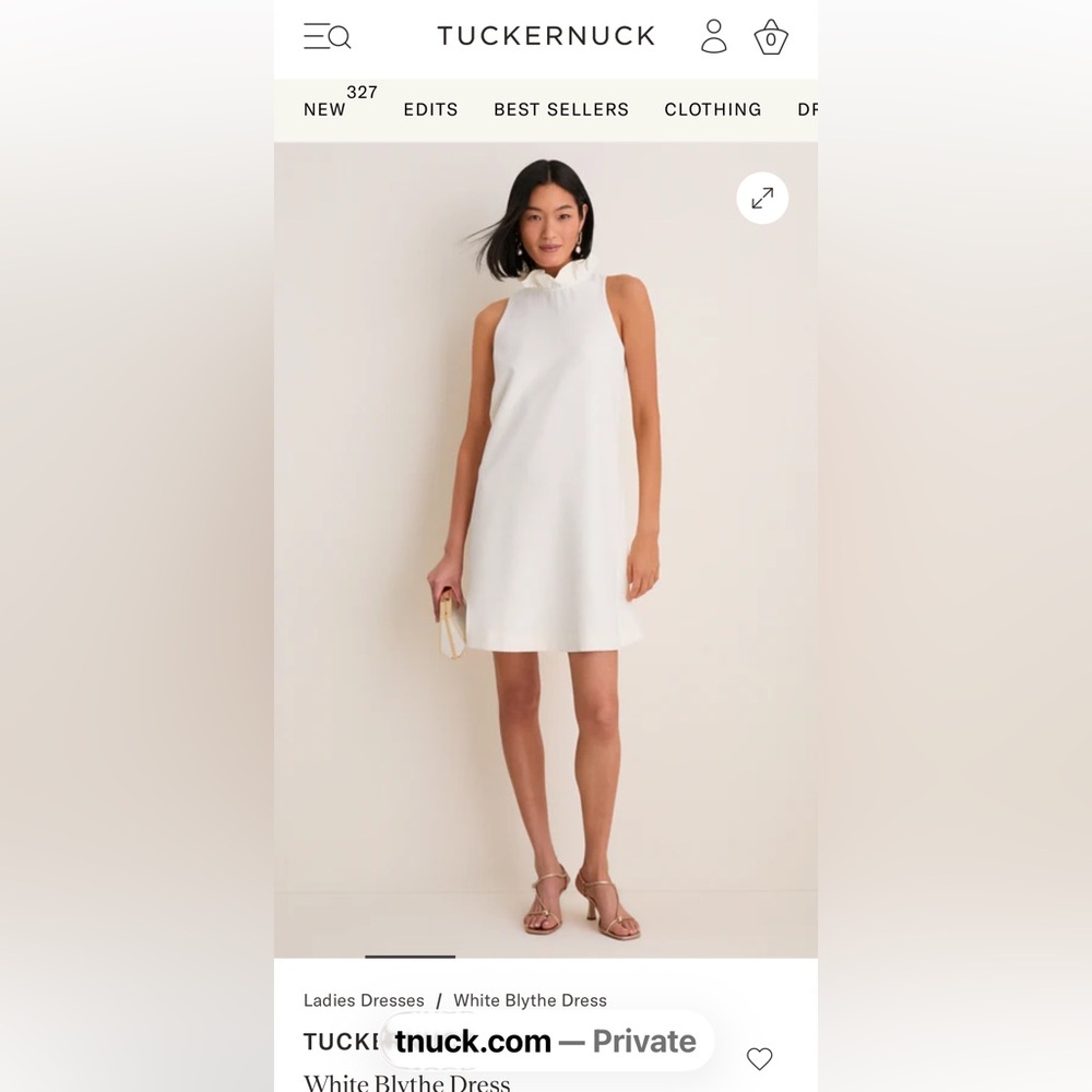 NWT Tuckernuck Blythe dress size XL